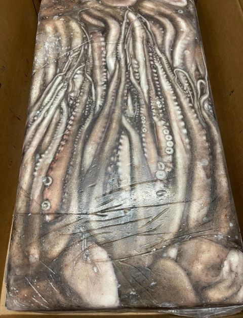 Frozen Octopus Block